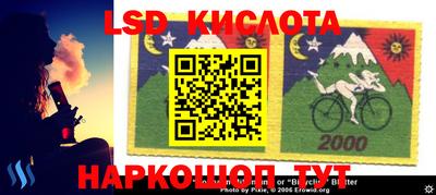 кокс Берёзовский