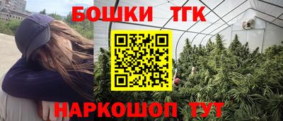 мдпв Лесосибирск