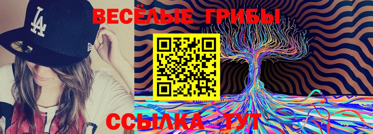 купить наркотик  Псилоцибиновые грибы Cubensis  Вход с VPN  Грязи  Галлюциногенные грибы мухоморы 