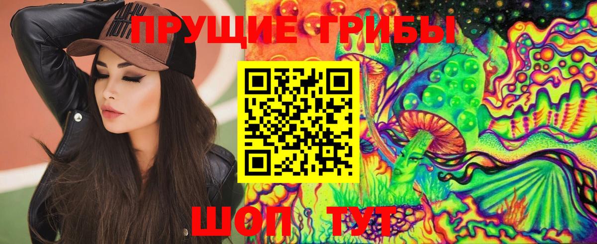 Псилоцибиновые грибы мицелий Грязи