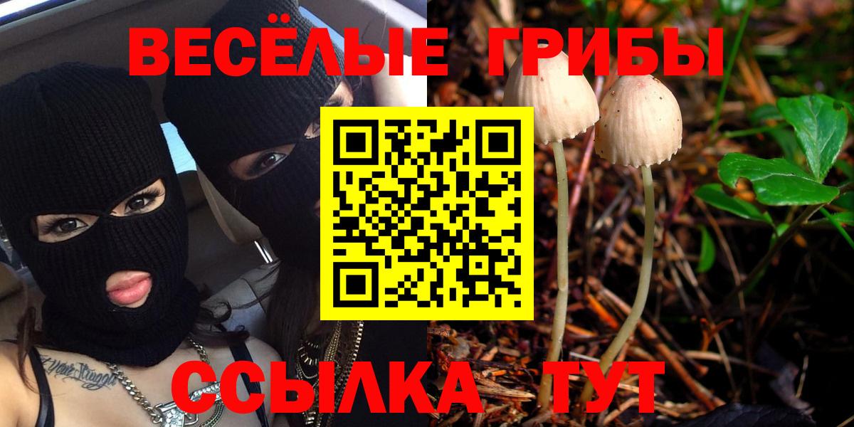 Галлюциногенные грибы мицелий Грязи